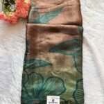 Noor Bronze Garden Silk Saree