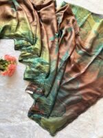Noor Bronze Garden Silk Saree - Image 2