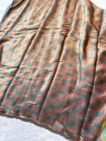 Noor Bronze Garden Silk Saree - Image 4