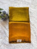 Ziva Haldi Glow Silk Saree