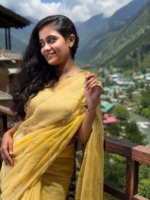 Golden Bloom Chiffon Saree 🌼 - Image 5